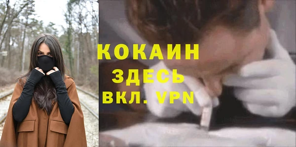 винт Алексин