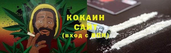 прущий лед Алзамай