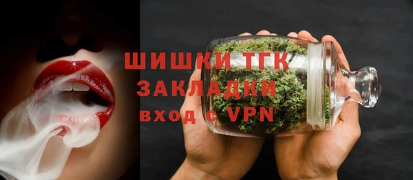винт Алексин