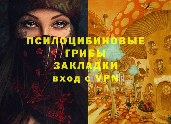 соль курить ск Михайлов