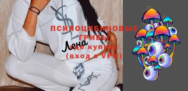 прущий лед Алзамай