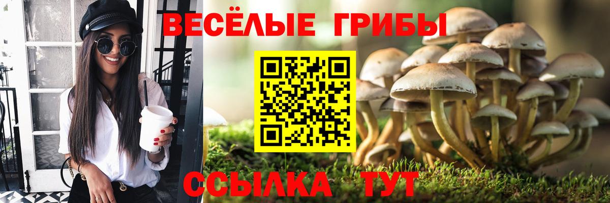 Псилоцибиновые грибы Psilocybine cubensis Нижний Тагил