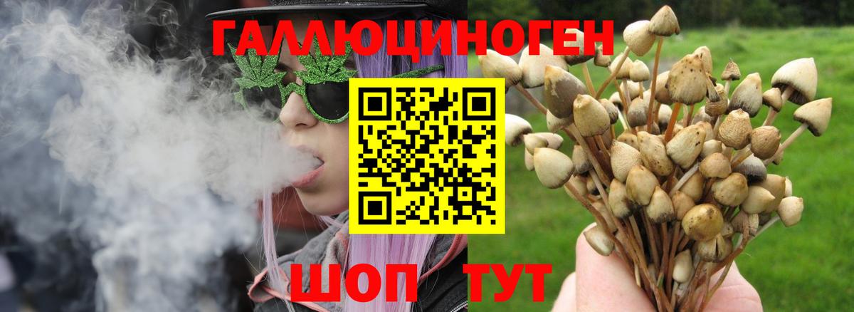 Нижний Тагил  Псилоцибиновые грибы Psilocybe  Вход с VPN 